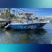 Sea Fox 248 Commander